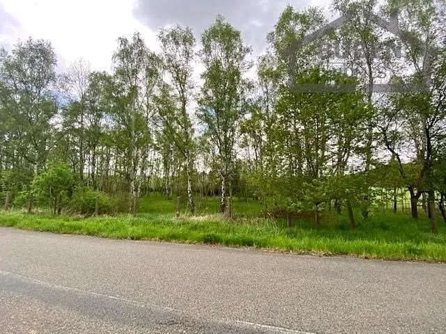 Fotka 13 z 13